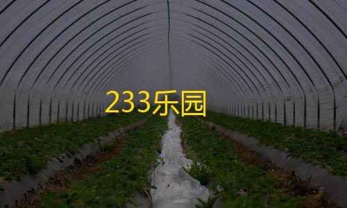 量子计算云233乐园